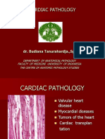 01 Cardiac Pathology 2014.