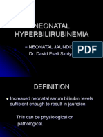 NEONATAL HYPERBILIRUBINEMIA 2.ppt