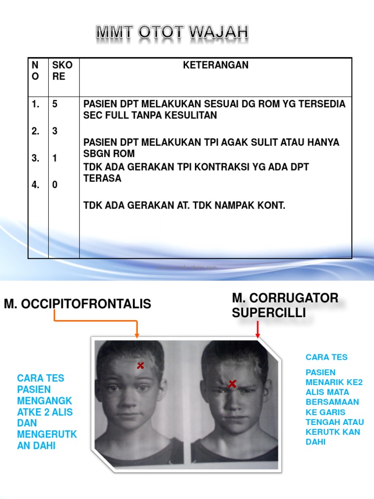 MMT Otot Wajah | PDF