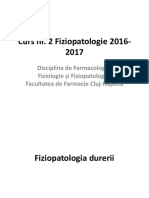 Curs nr.2 FP RO 2017 PDF