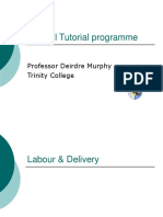 Special Tutorial Programme: Professor Deirdre Murphy Trinity College