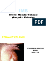 Infeksi Menular Seksual (Penyakit Kelamin)