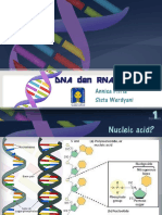 DNA Dan RNA Structure: Annisa Fitria Sista Werdyani