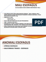 Anomali Esofagus