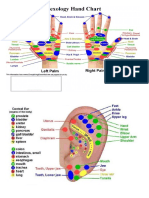 Reflexology Pictures