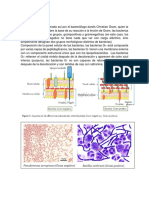 Tinciones para bacterias.docx