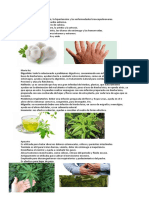 PLANTAS MEDICINALES