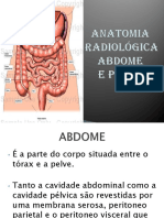 Região abdominal e suas funções