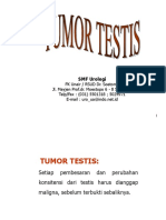 Tumor Testis Editan