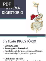 Sistema Digestório
