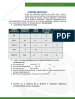 Lenguaje algebraico I - Ejercicios resueltos