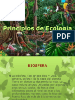 Principio S de Ecología