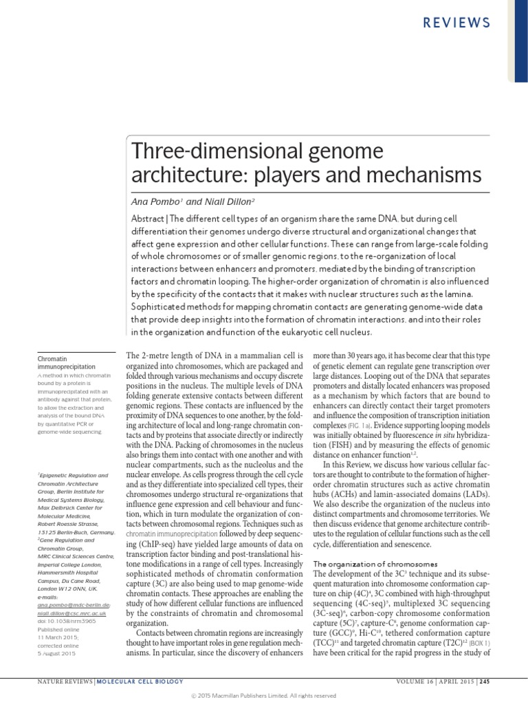 1a - Three Dimensional Genome Architecture Players and Mechanisms | PDF ...