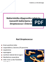 Vezba 6 - Bakt DG Streptococcus I Enterococcus