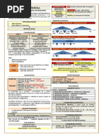 10.Cm - Síndrome Metabólica