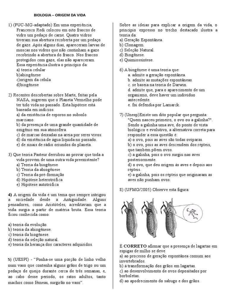 Questões - Origem Da Vida | Abiogênese | Teorias da Biologia