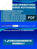 Ambiente_LodosActivados_ProblemasOperativos_Charpentier (1).pdf