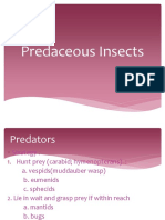 AGSC-8.3b.-Predaceous-Insects