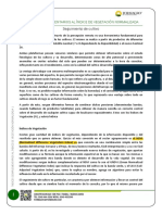 Seguimiento-de-cultivo-FORMAGRO-SRL-indices de vegetacion.pdf