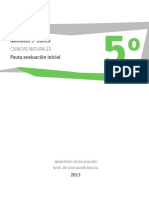 pautaevaluacioninicial5basicocnaturales.pdf