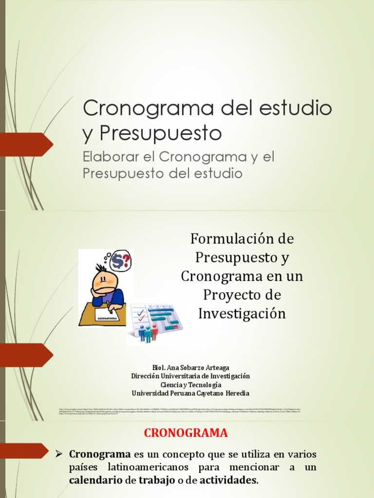 Cronograma y Presupuesto de Investigación | PDF | Presupuesto | Ciencia ...