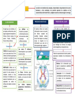 El sistema visual humano: del ojo a la percepción del color