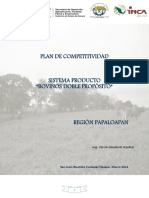 Tuxtepec - Plan de Competitividad BDP