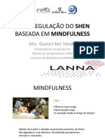 Auto Regulação Do Shen Baseada Em Mindfulness