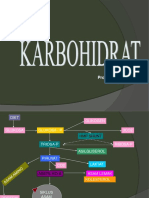 Karbohidrat 2