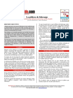 La Píldora de Liderazgo PDF