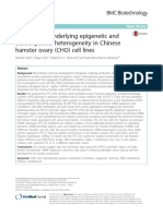 Mechanisms Underlying Epigenetic and Transcriptional Heterogeneity in Chinese Hamster Ovary (CHO) Cell Lines