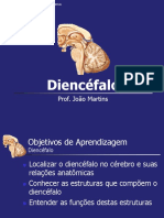 Aula Diencéfalo Modificada