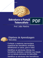 Aula Telencéfalo Modificada