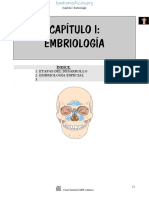 Anatomia MIR