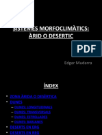 Sistemes Morfoclimàtics - Arid