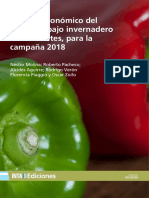 Inta St62 Analisis Economico Pimiento Corrientes