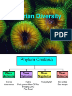 006 Cnidarian Diversity