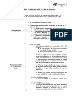 CGPJ Esquema PDF