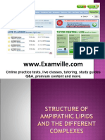 Structure of Tic Lipids and The Different Complexes