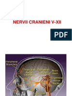 E.nervii Cranieni V-Xii
