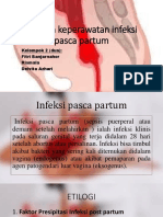 Asuhan Keperawatan Infeksi Pasca Partum