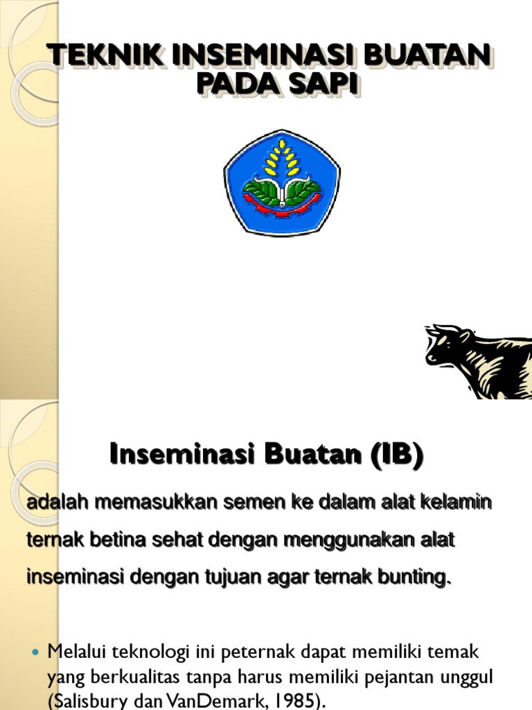 Teknik Ib Sapi