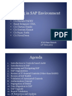 Auditing in SAP Environment