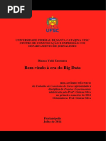 Bianca Enomura - Relatório final