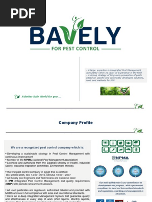 Company Profile (Portfolio).pdf