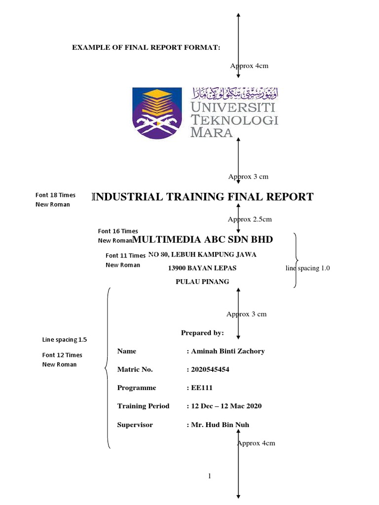 Example of Final Report Format | PDF | Times New Roman | Graphic Design