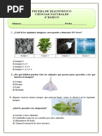 4º Básico Diagnóstico Ciencias