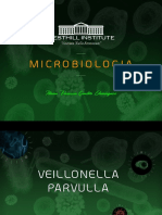 Veillonella Parvulla PDF