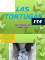 Las Tortugas Nuevo