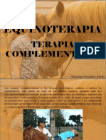 Atahualpa Fernández Arbulú - Equinoterapia, Terapia complementaria
